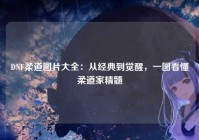 DNF柔道图片大全：从经典到觉醒，一图看懂柔道家精髓