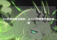 DNF奶萝技能全解析：从入门到精通的辅助指南