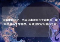 问道电精进化，当电磁本源叩击生命哲学，电磁本源与生命哲思，电精进化论的道器之辩