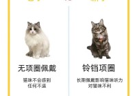 骨头镇秘籍大全有哪些？新手老手必看攻略！