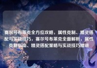 赛尔号布莱克全方位攻略，属性克制、精灵搭配与实战技巧，赛尔号布莱克全面解析，属性克制指南、精灵搭配策略与实战技巧精讲