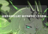 流星秒杀网怎么用？新手也能轻松上手的教程！