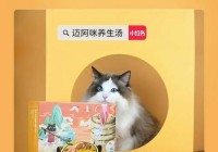 魔法无敌攻略：风林手游下载礼包福利领不停