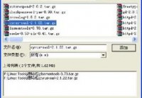 纳米盘怎么下载最快？老司机教你几招提速！