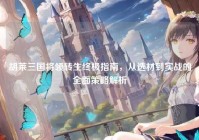 胡莱三国将领转生终极指南，从选材到实战的全面策略解析