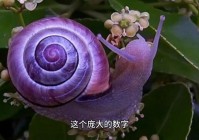 蜗牛外挂网现在还能用吗？亲测结果告诉你答案！