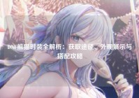 DNF熊猫时装全解析：获取途径、外观展示与搭配攻略