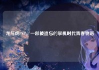 龙与虎PSP，一部被遗忘的掌机时代青春物语