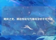 飓风之龙，神话传说与气象科学的千年对话