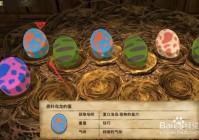 龙之谷龙蛋系统揭秘：如何获取和孵化龙蛋