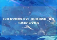 DNF所有宠物图鉴大全：从经典到稀有，属性与获取方式全解析