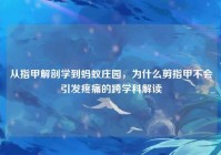 从指甲解剖学到蚂蚁庄园，为什么剪指甲不会引发疼痛的跨学科解读