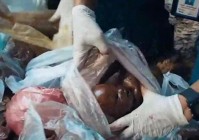 真实的迈阿密僵尸事件：揭秘事件的来龙去脉