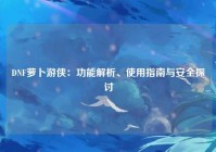 DNF萝卜游侠：功能解析、使用指南与安全探讨