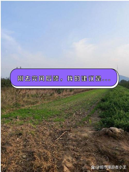 龙骨平原探秘：揭开神秘地区的奇幻面纱