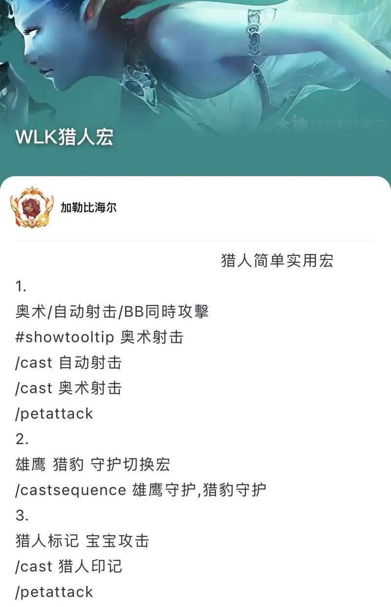 魔兽世界猎人宝宝宏不会用？手把手教你轻松掌握