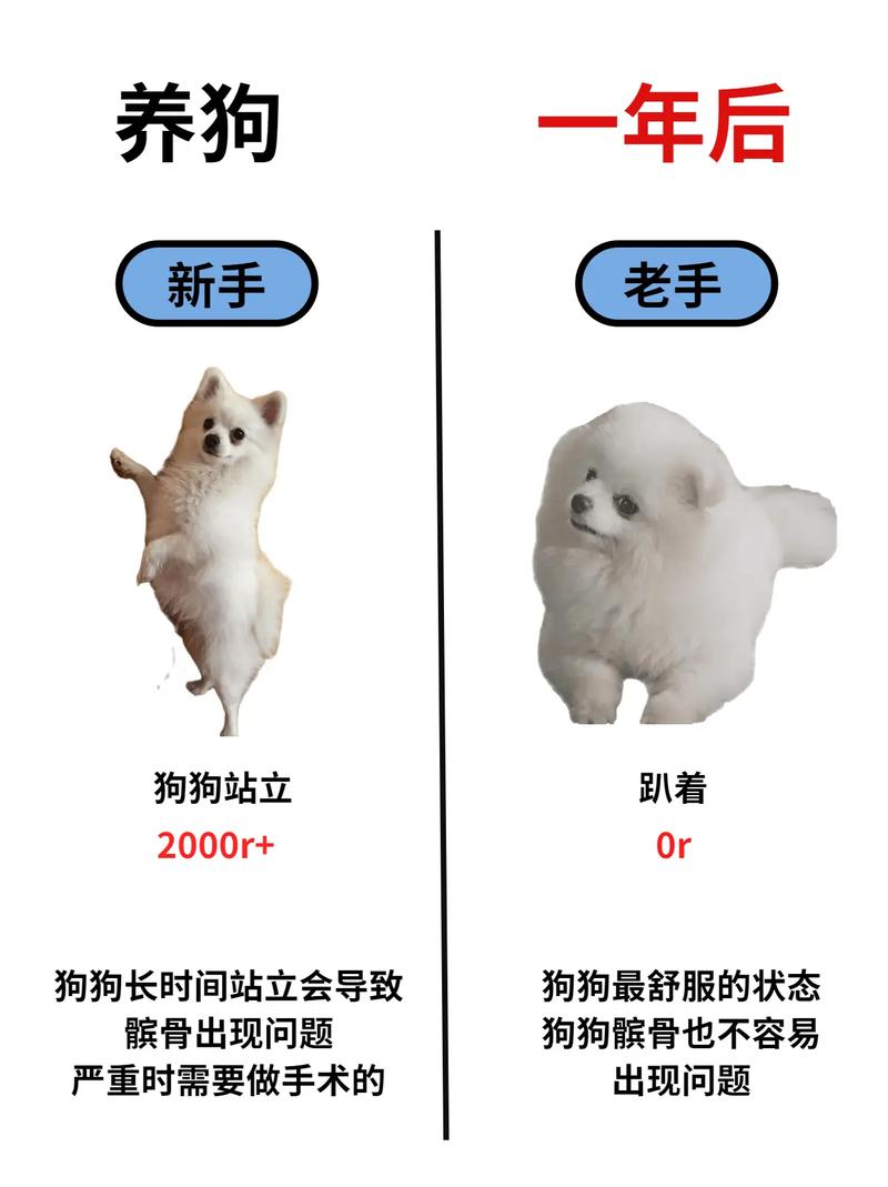 骨头镇秘籍大全有哪些?新手老手必看攻略!