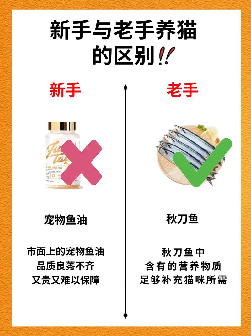 骨头镇秘籍大全有哪些?新手老手必看攻略!