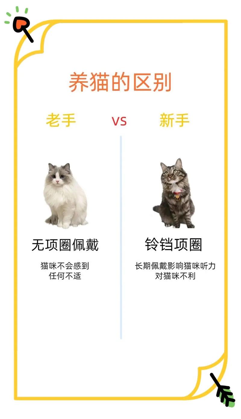 骨头镇秘籍大全有哪些?新手老手必看攻略!