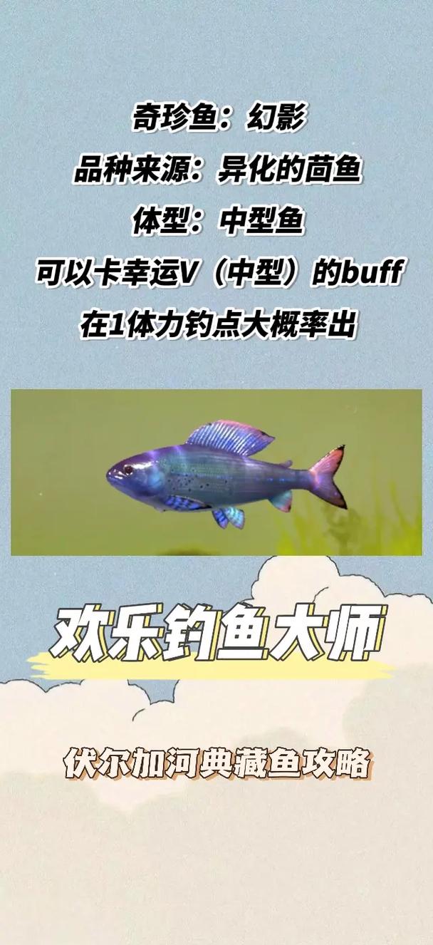 御龙天下钓鱼全攻略：从新手到大师的进阶技巧