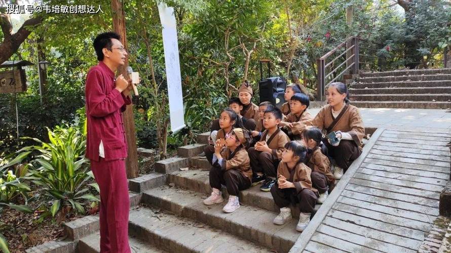 采药技巧与经验分享：从新手到采药达人