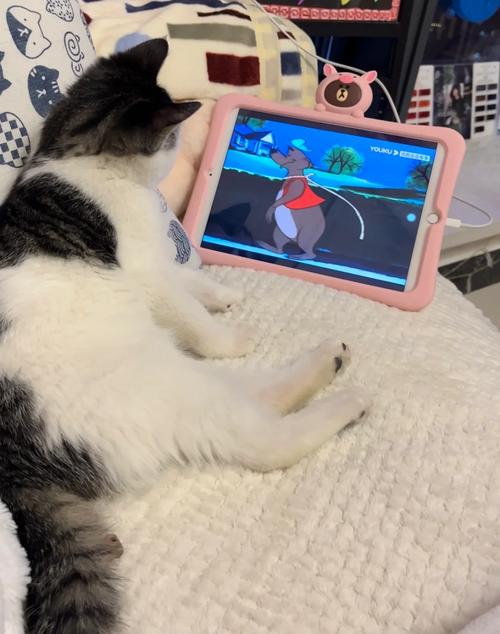 逗比人生：开启你的趣味人生冒险，尽享随机事件