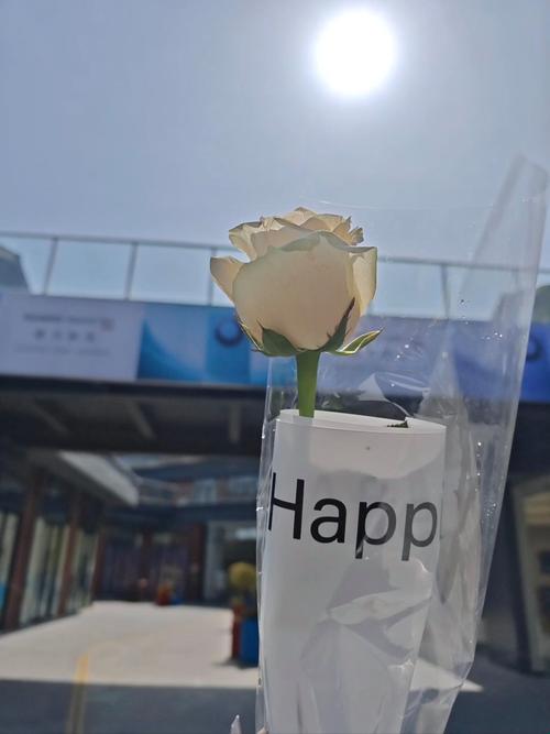 逃脱本色6-1：木乃伊陵墓终极逃脱指南