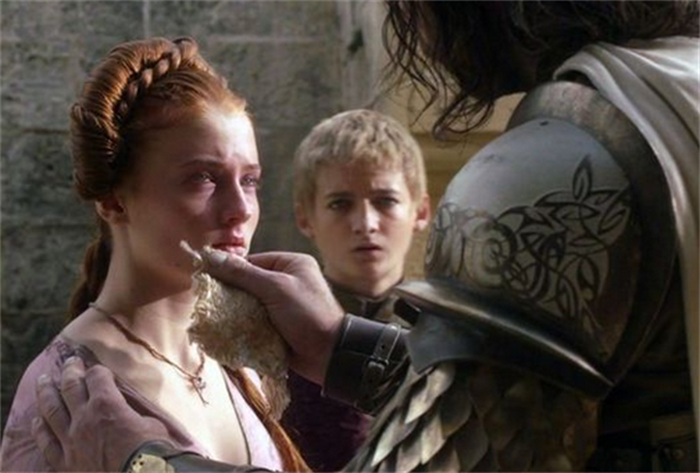 追寻家养霸王攻:一场关于爱与权力的较量