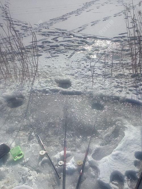 还在为钓大鼠尾鱼发愁吗？这些钓点让你满载而归！