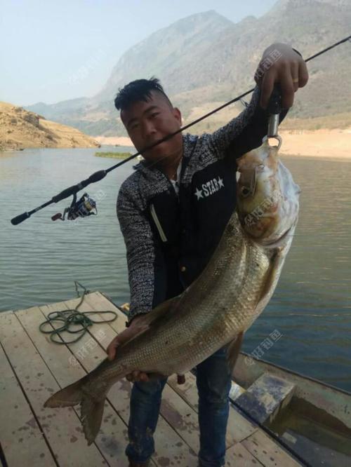 还在为钓大鼠尾鱼发愁吗？这些钓点让你满载而归！