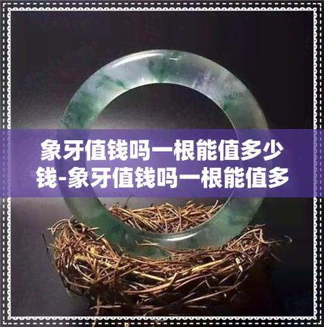 象牙有什么用？多重用途与珍贵价值解析