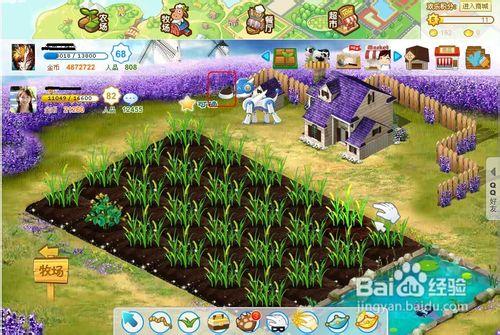 农牧场三合一是什么？一篇文章让你全搞懂！