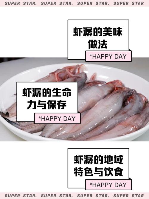 虾歌歌词是什么意思?这首歌到底在唱什么?