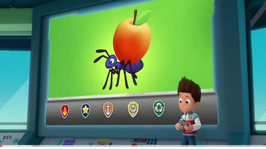 蚂蚁偷蛋糕怎么防止?这些方法简单又有效!