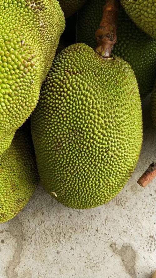 蜜风果园的水果怎么样？产地、口感全面测评！