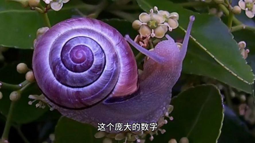 蜗牛外挂网现在还能用吗?亲测结果告诉你答案!