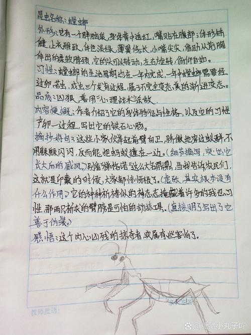 螳螂妖的动机是什么?看完这篇你就全明白了!