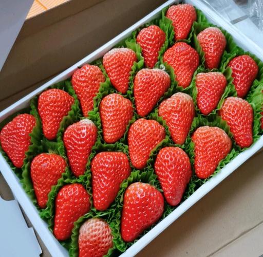 自制草莓奥拉夫难不难?手把手教你快速搞定!