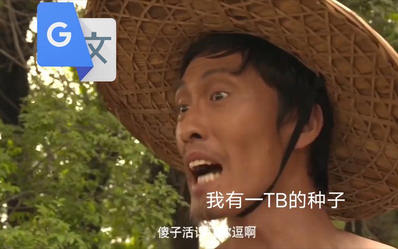 苏州瓜子哥到底干了啥？一篇文章给你讲清楚！