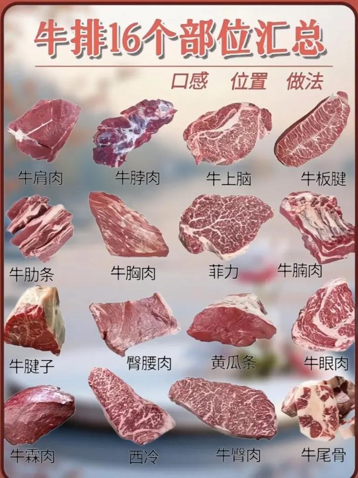 肉天赋厉害吗?看完这篇你就知道该怎么选!