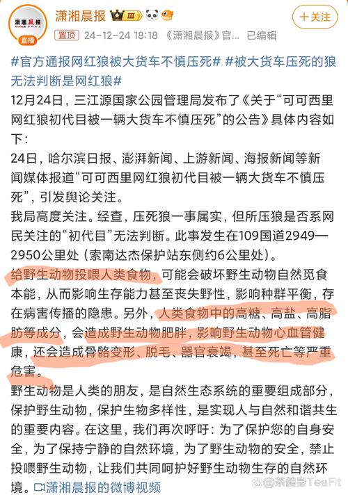 紫狼最新消息,你想知道的都在这!