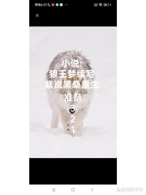 紫狼最新消息,你想知道的都在这!