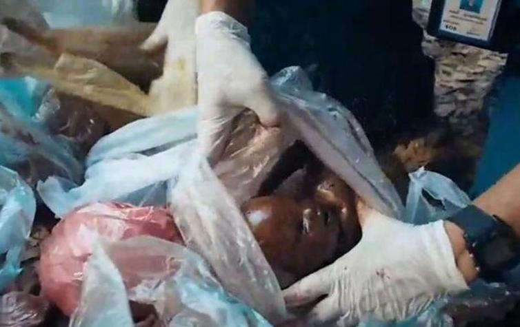 真实的迈阿密僵尸事件:揭秘事件的来龙去脉