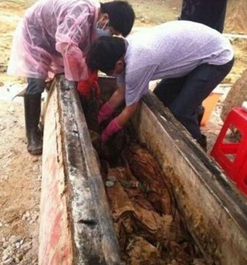 真实的迈阿密僵尸事件:揭秘事件的来龙去脉