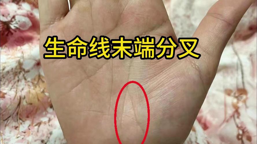 生命线攻略难点在哪？高玩教你轻松过关！