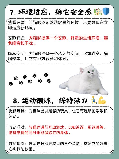 猫咪破永久vip哪里能找到？分享几个靠谱途径！