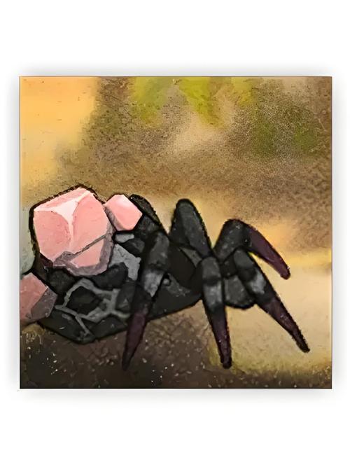 玉牙页岩蛛长什么样子啊？几张高清大图让你看清楚！