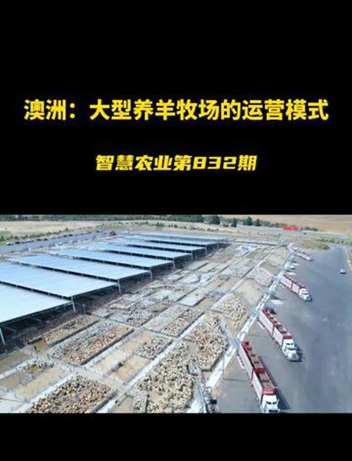 牧场养什么最赚钱