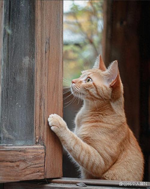 像贾格一样生活是什么体验?过来人告诉你!