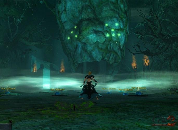 激战2地图宝箱位置？带你找到隐藏的宝藏！